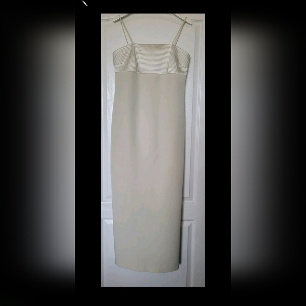 Teri Jon Rickie Freeman for Teri Jon Gown Dress size 10 100% Silk IVORY/MINT650$